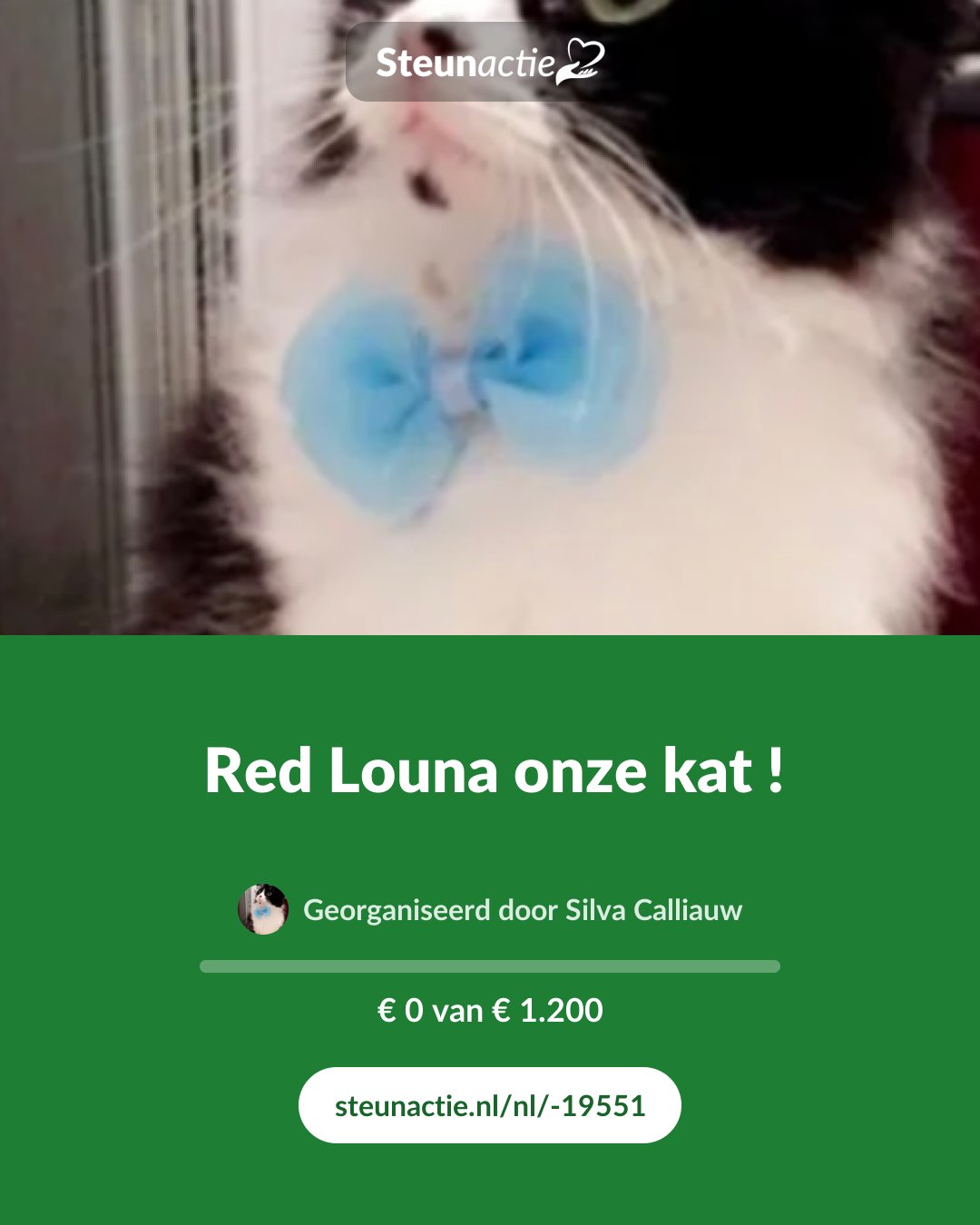 Voorbeeld van de afbeelding
