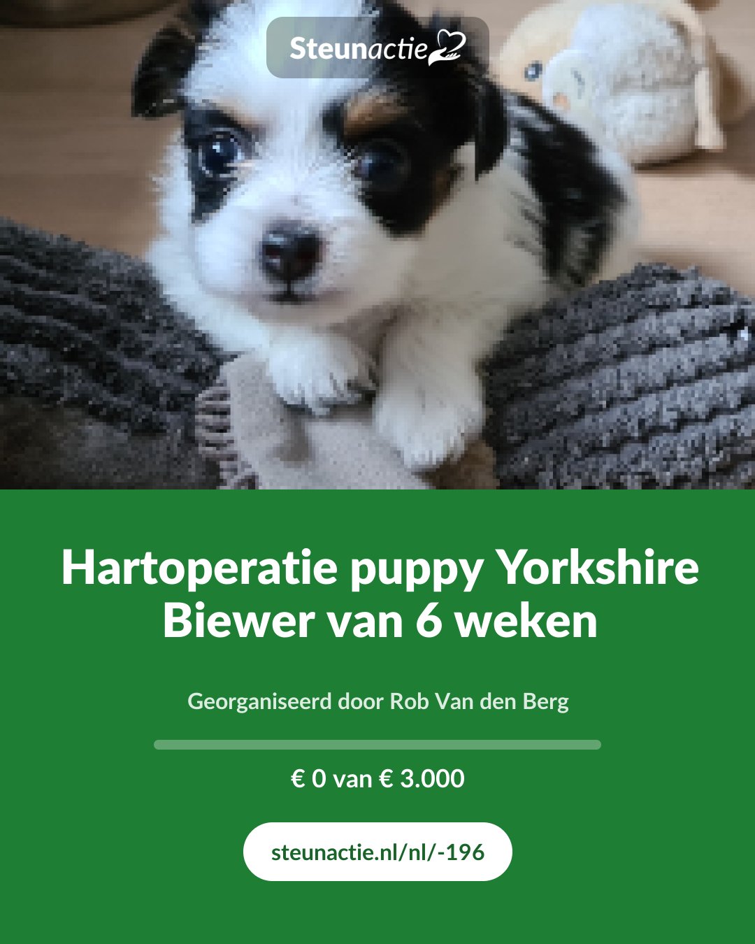 Voorbeeld van de afbeelding