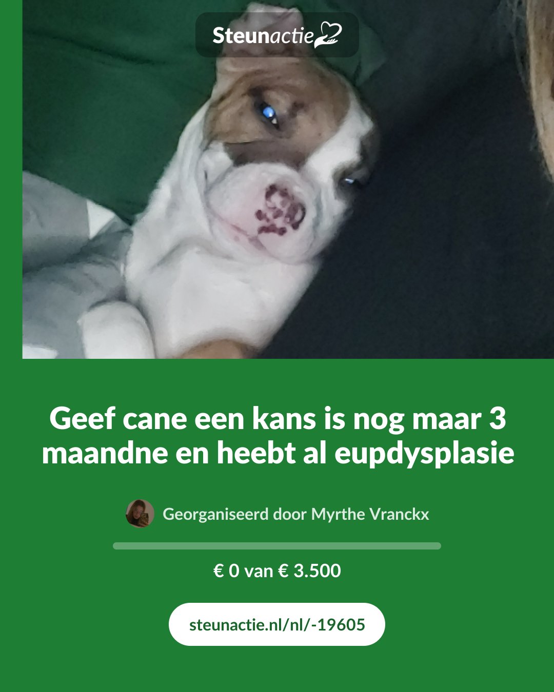 Voorbeeld van de afbeelding