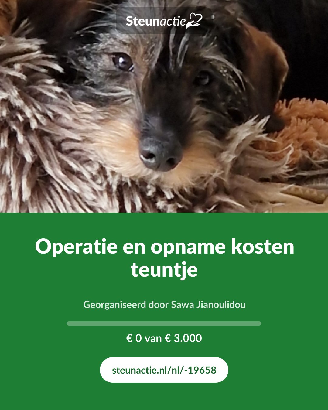 Voorbeeld van de afbeelding