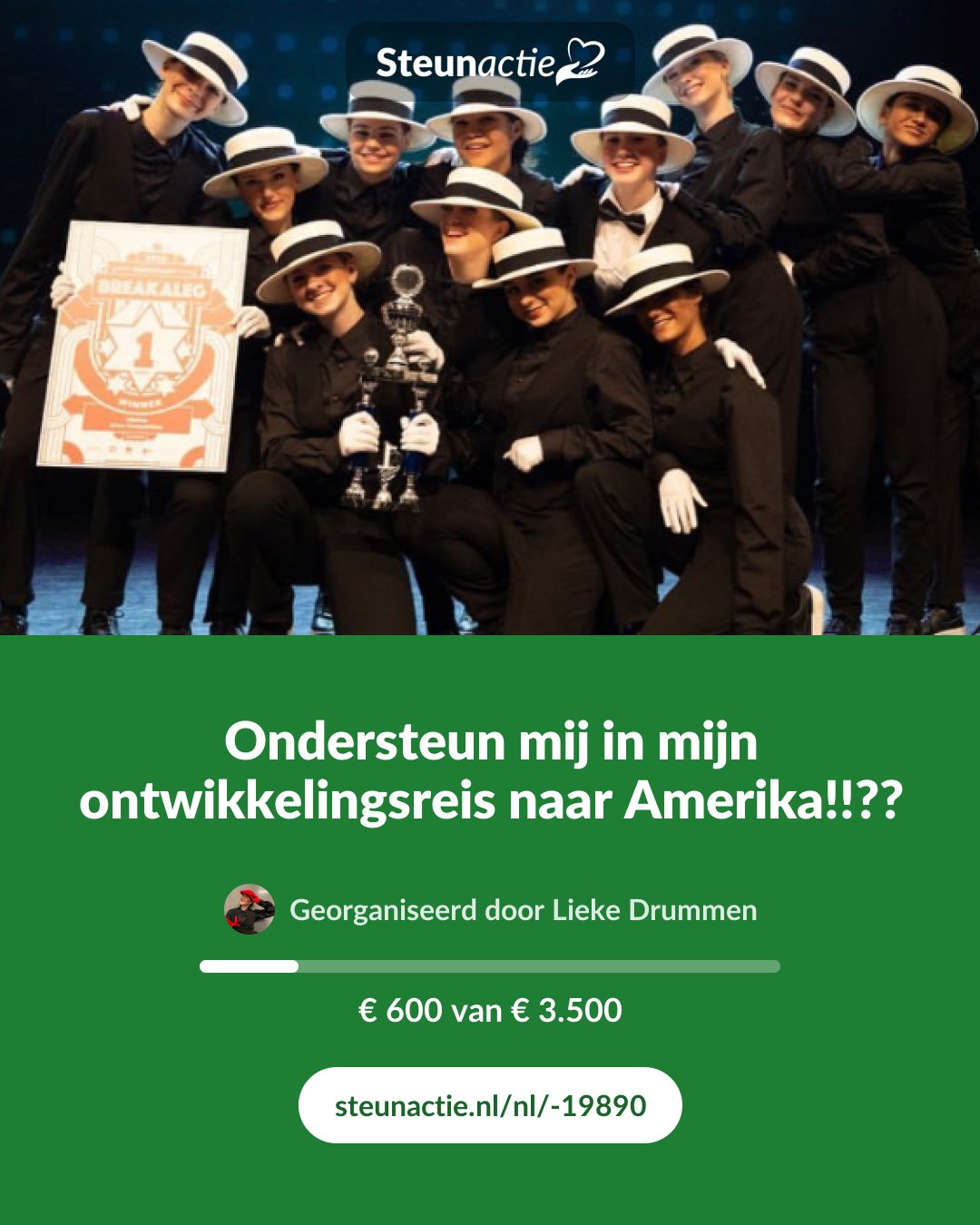 Voorbeeld van de afbeelding
