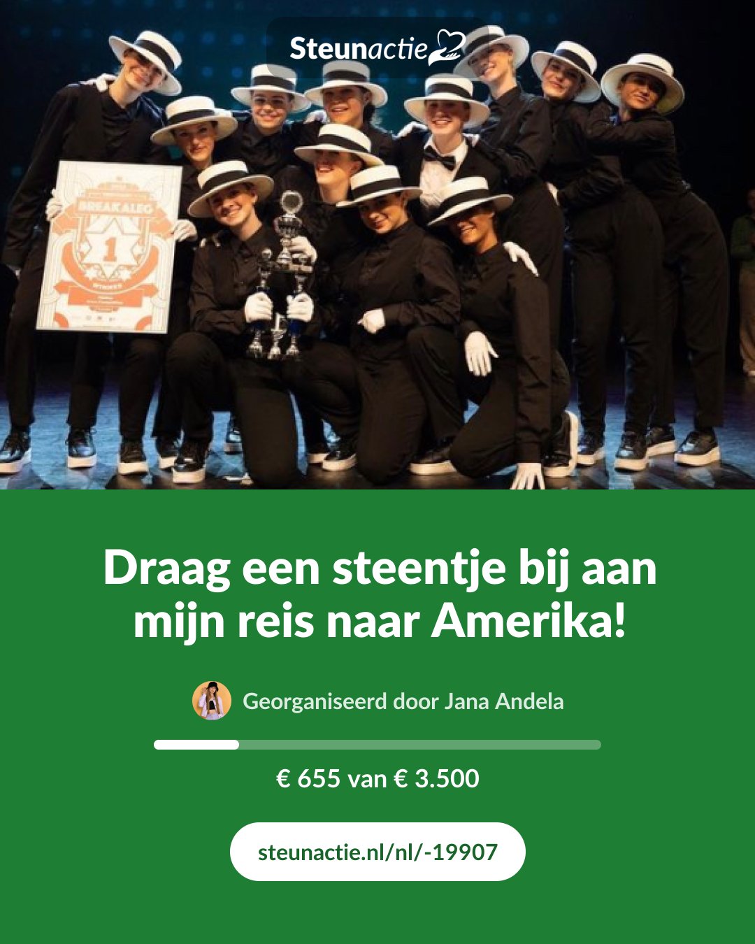 Voorbeeld van de afbeelding