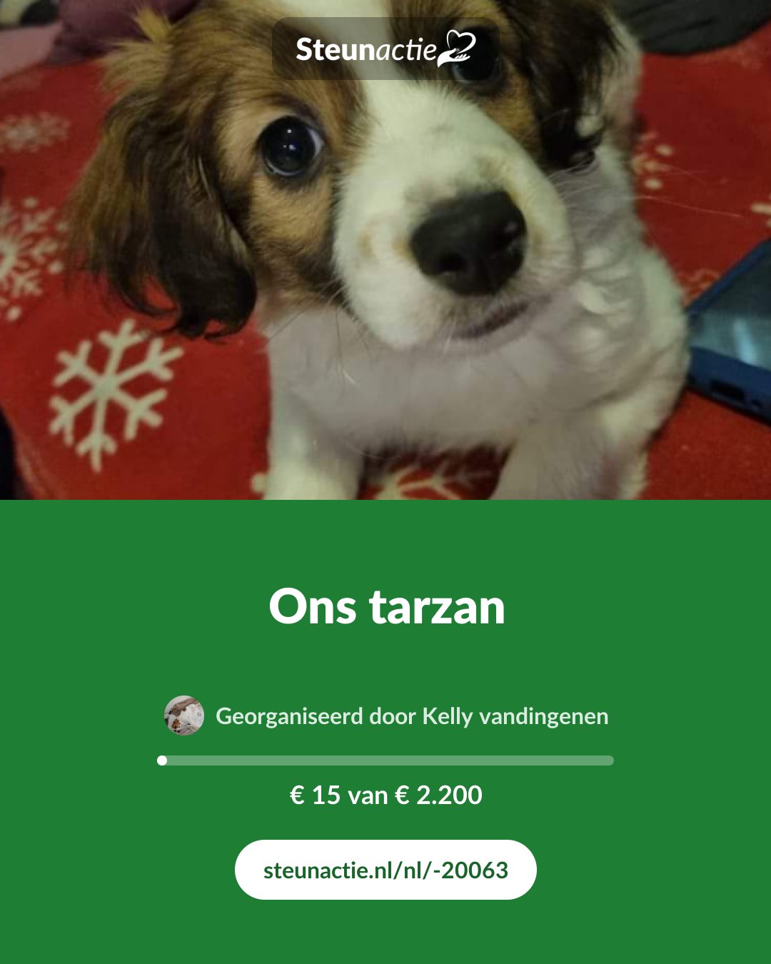 Voorbeeld van de afbeelding
