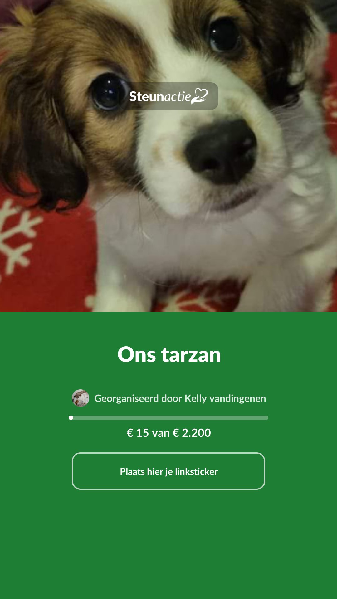 Voorbeeld van de afbeelding