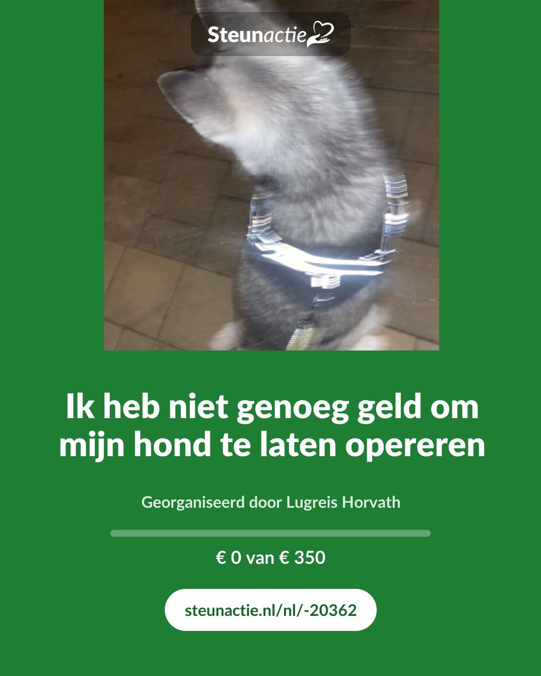 Voorbeeld van de afbeelding