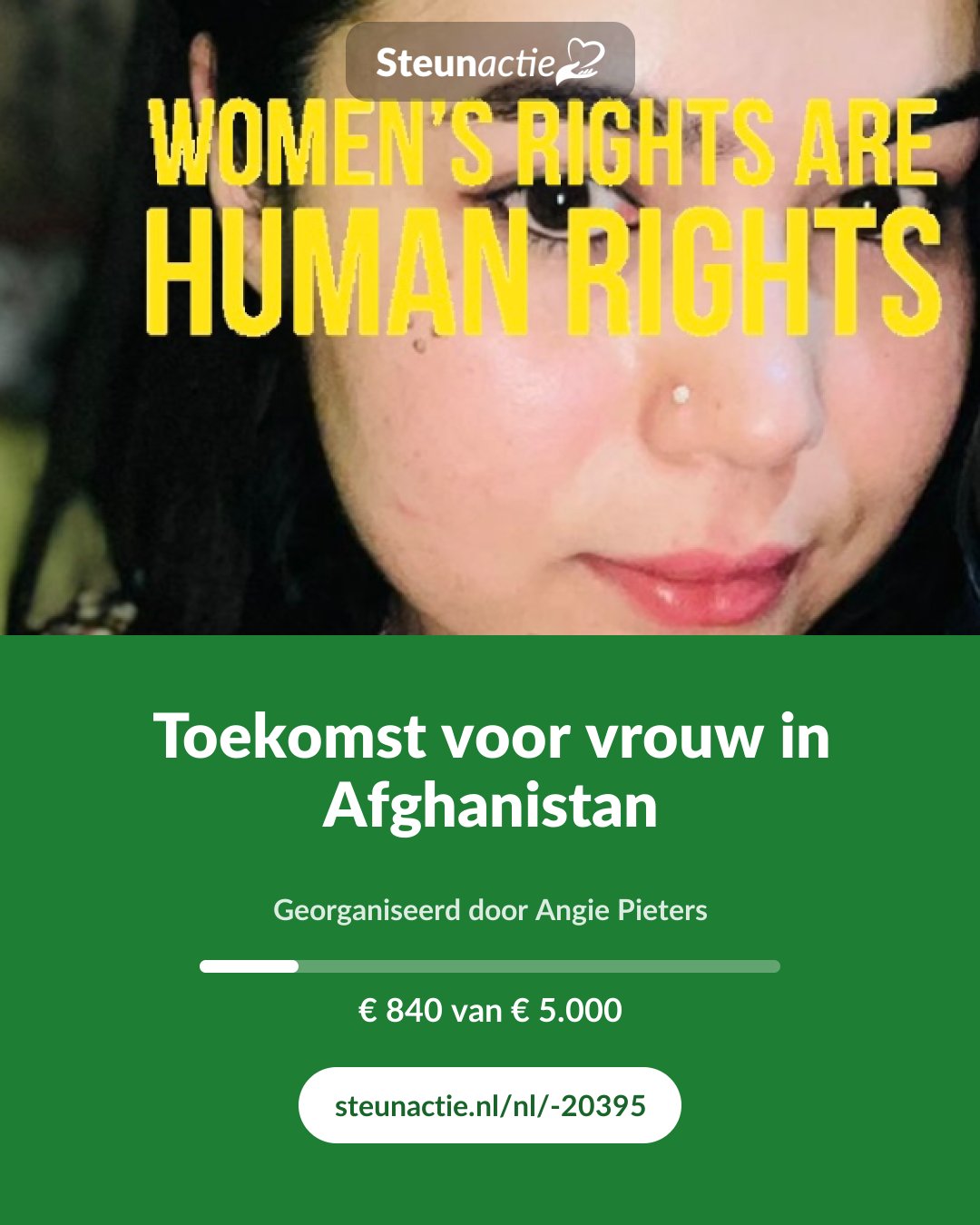 Voorbeeld van de afbeelding