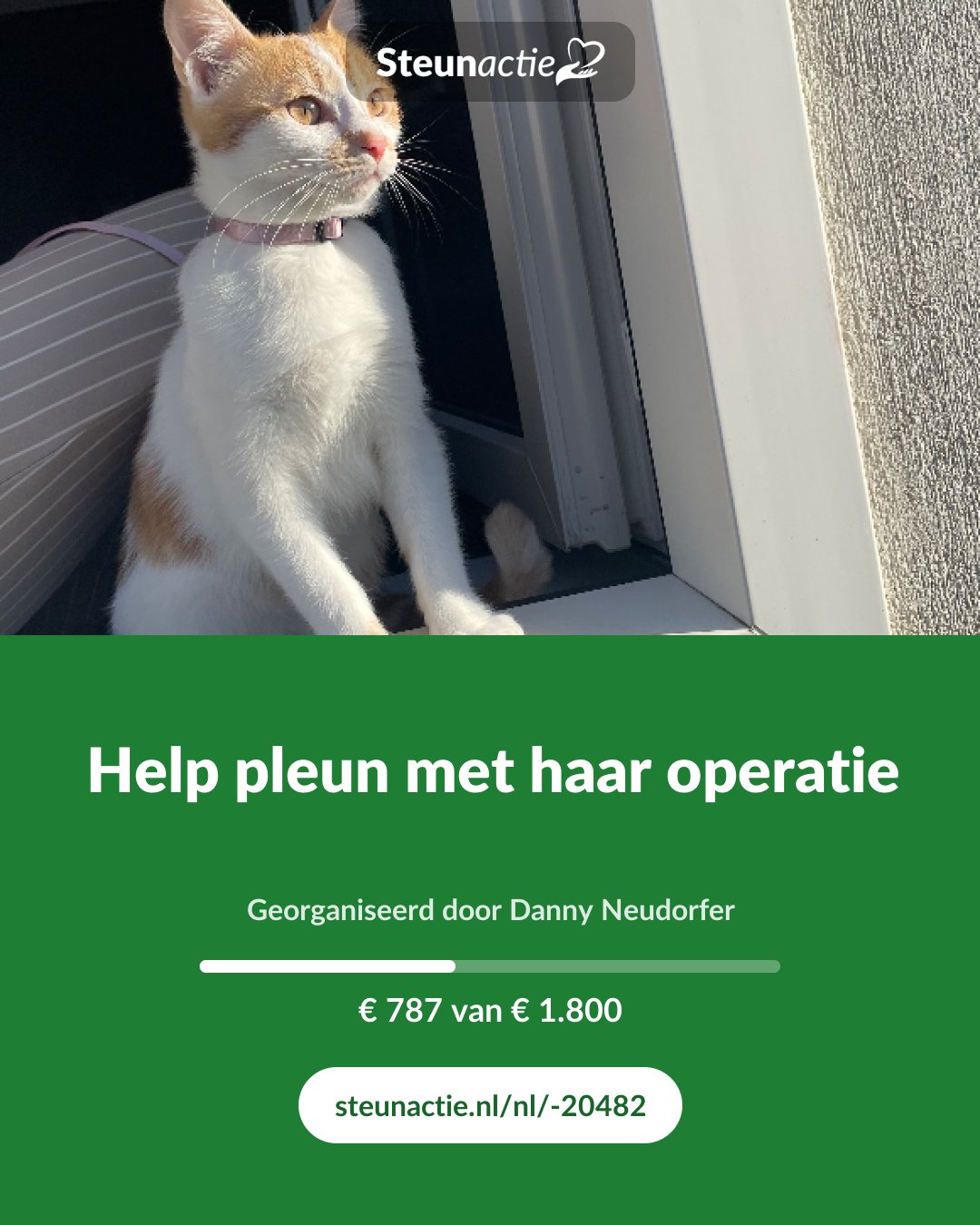 Voorbeeld van de afbeelding