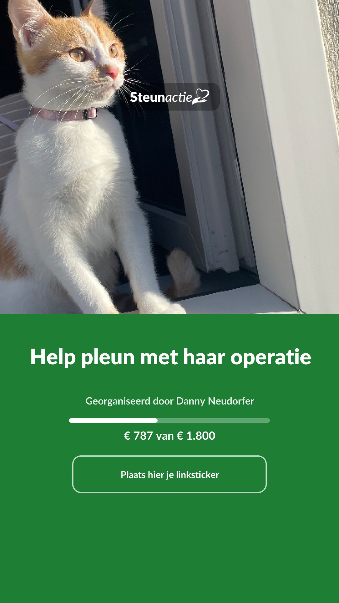 Voorbeeld van de afbeelding