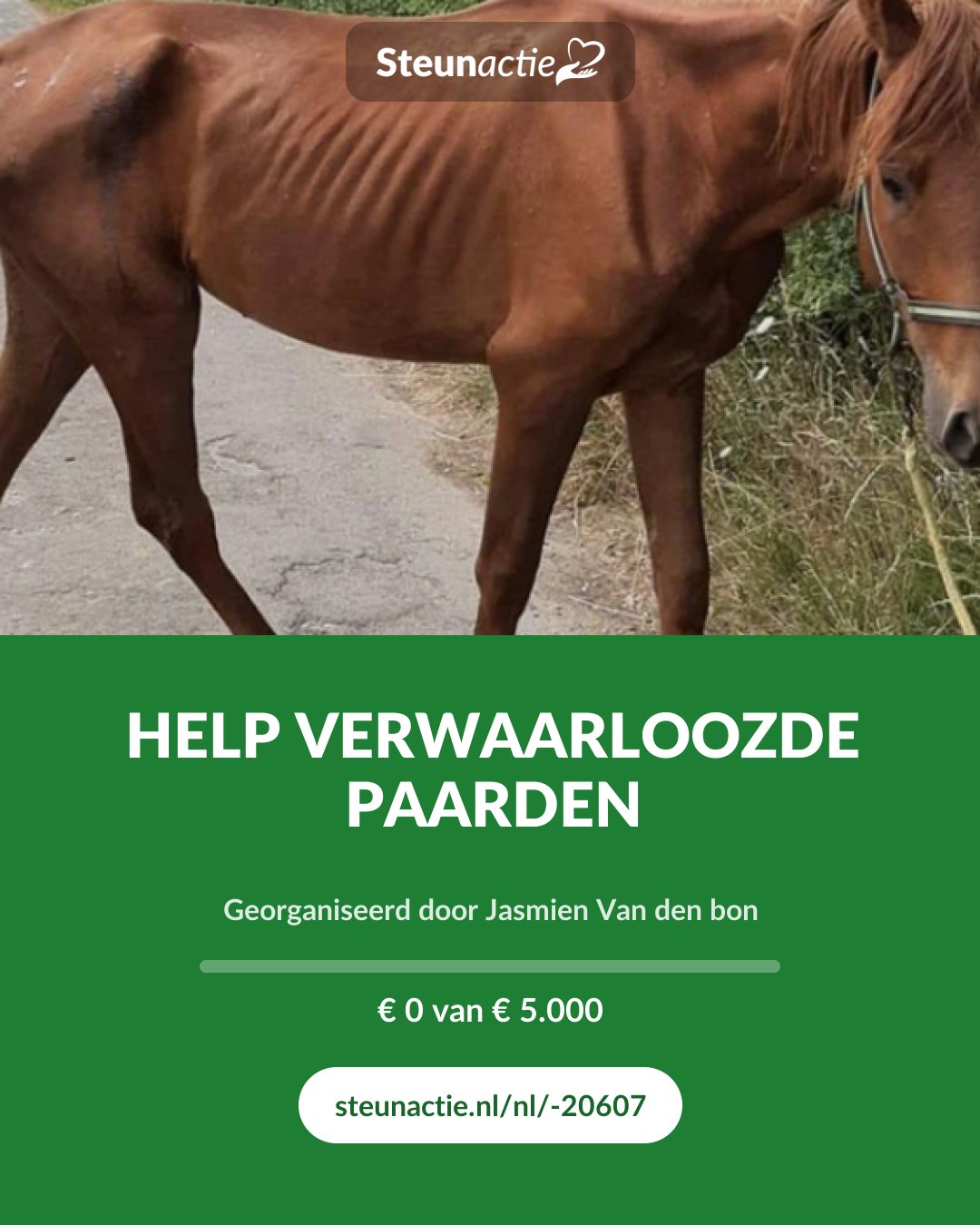 Voorbeeld van de afbeelding