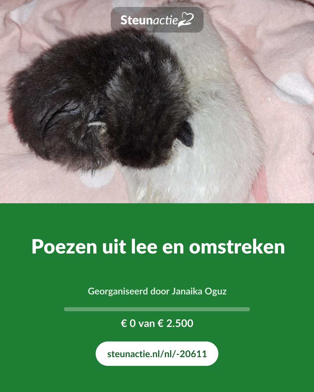Voorbeeld van de afbeelding