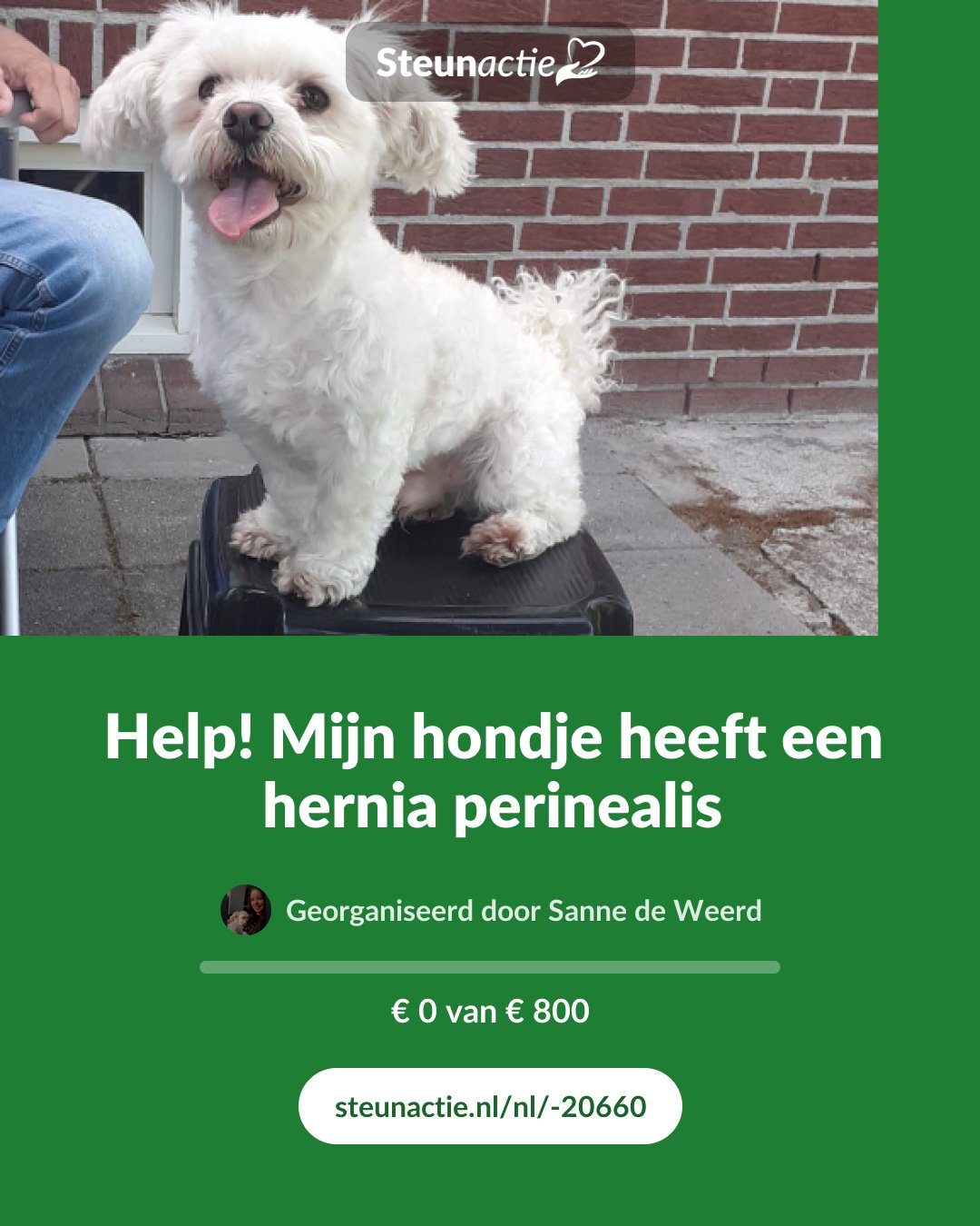 Voorbeeld van de afbeelding