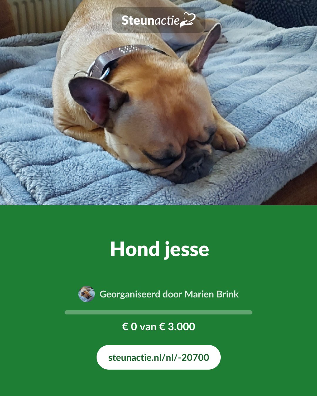 Voorbeeld van de afbeelding