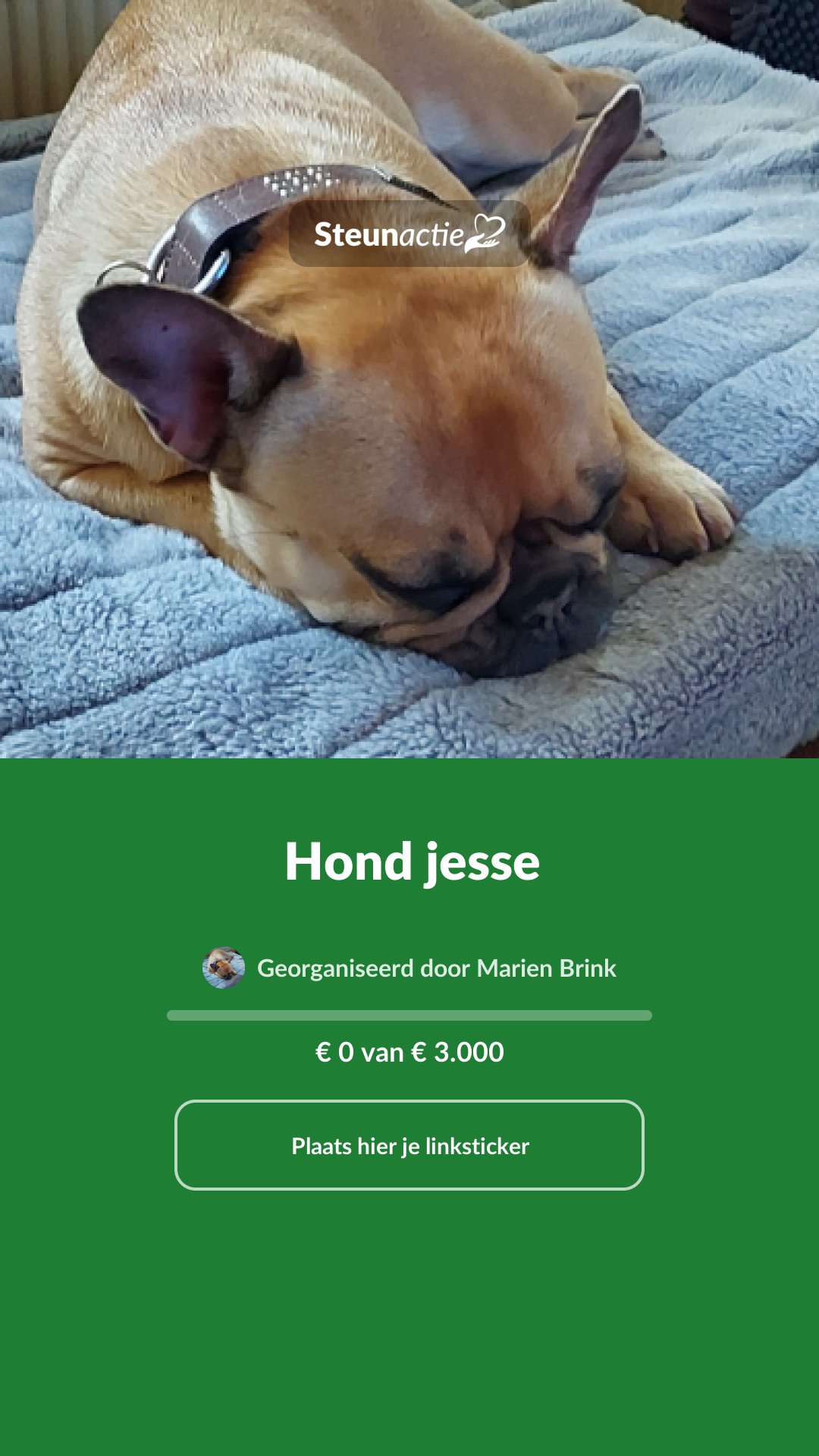 Voorbeeld van de afbeelding
