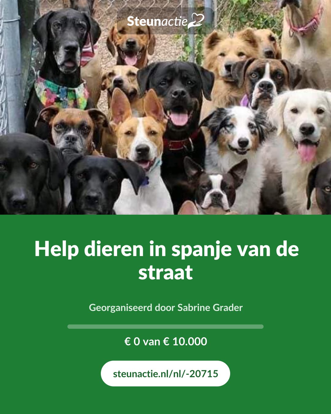 Voorbeeld van de afbeelding