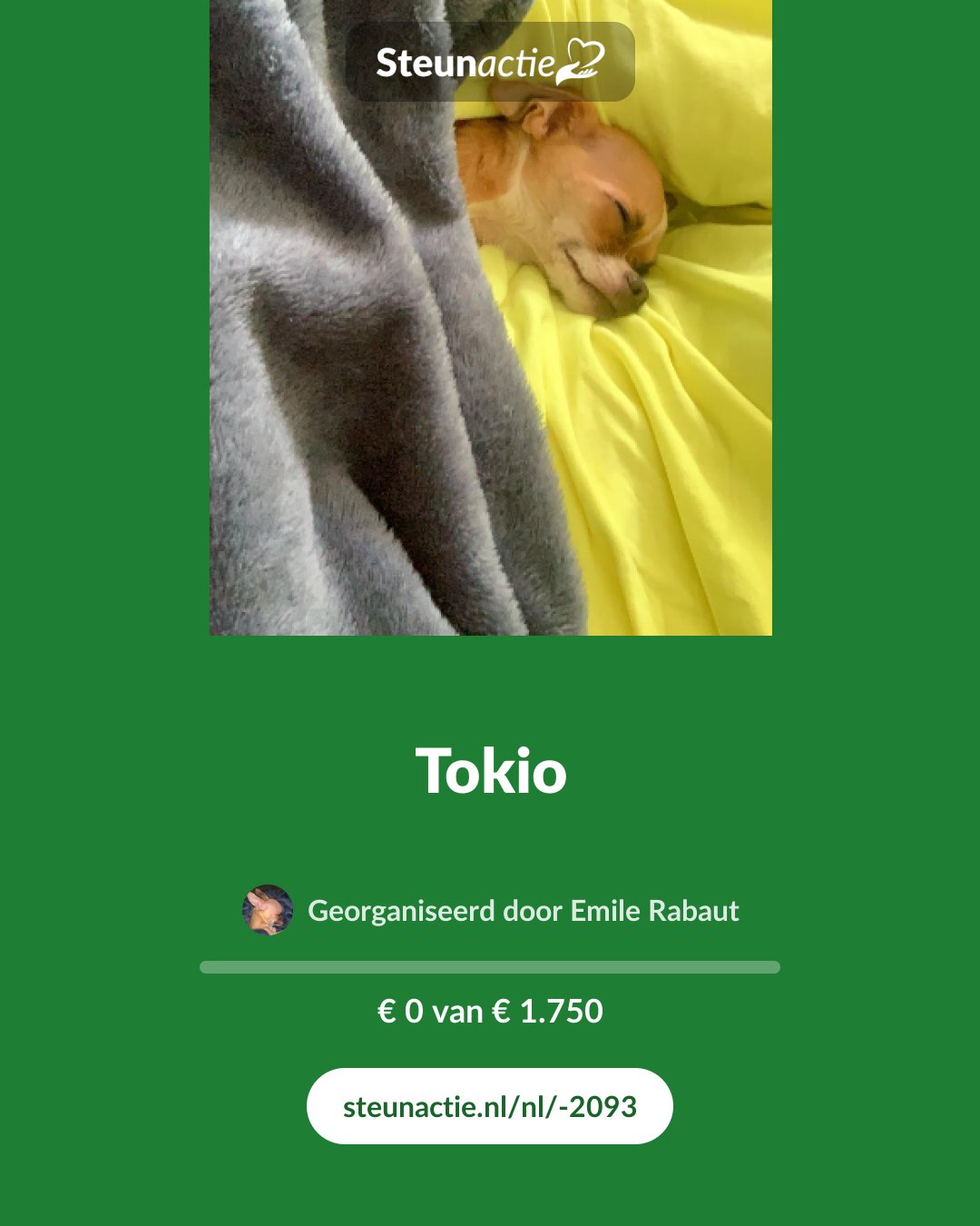 Voorbeeld van de afbeelding