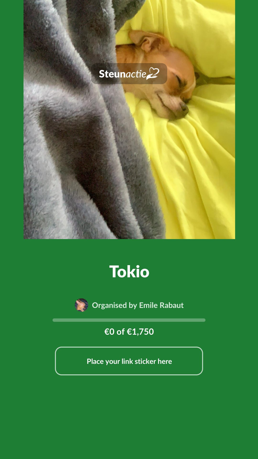 Preview of the image