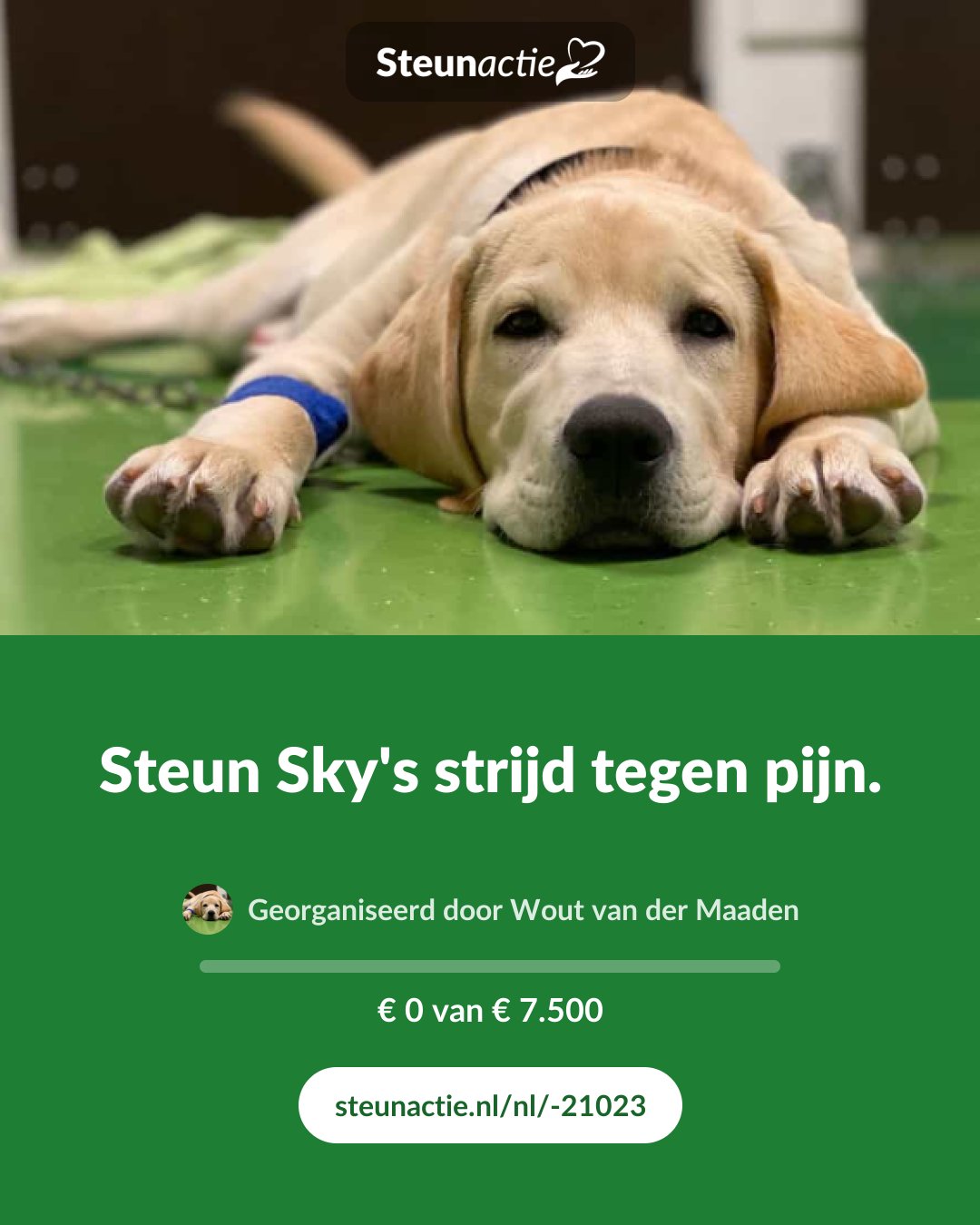 Voorbeeld van de afbeelding