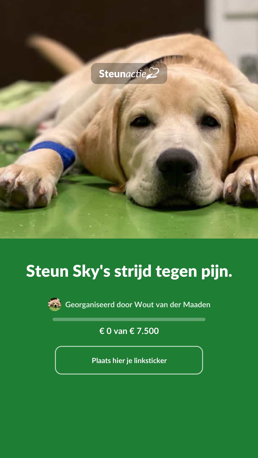 Voorbeeld van de afbeelding