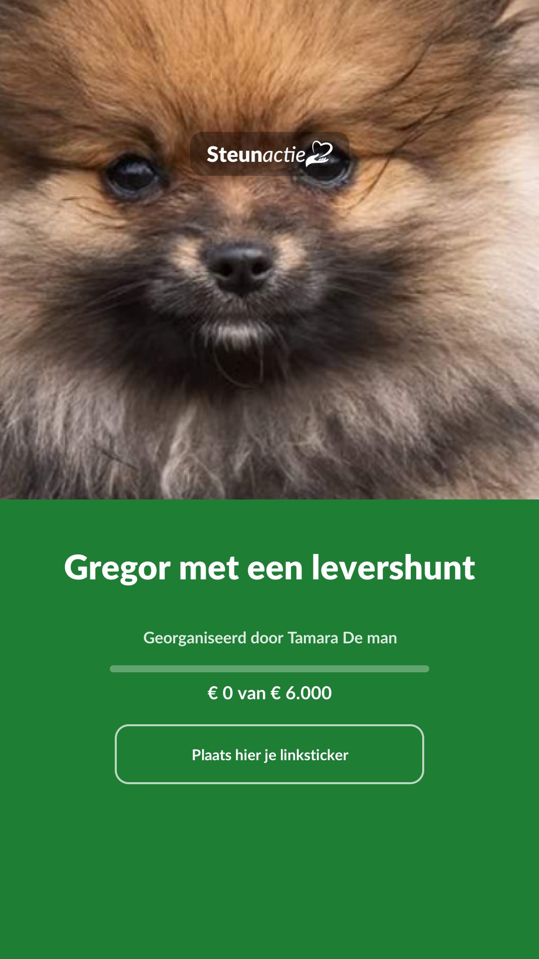 Voorbeeld van de afbeelding