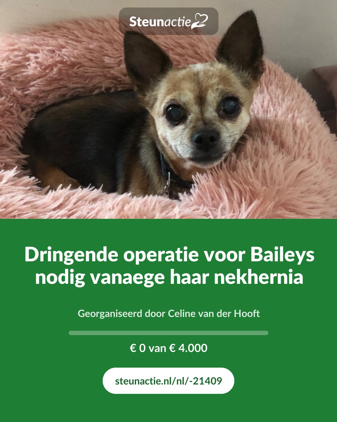 Voorbeeld van de afbeelding