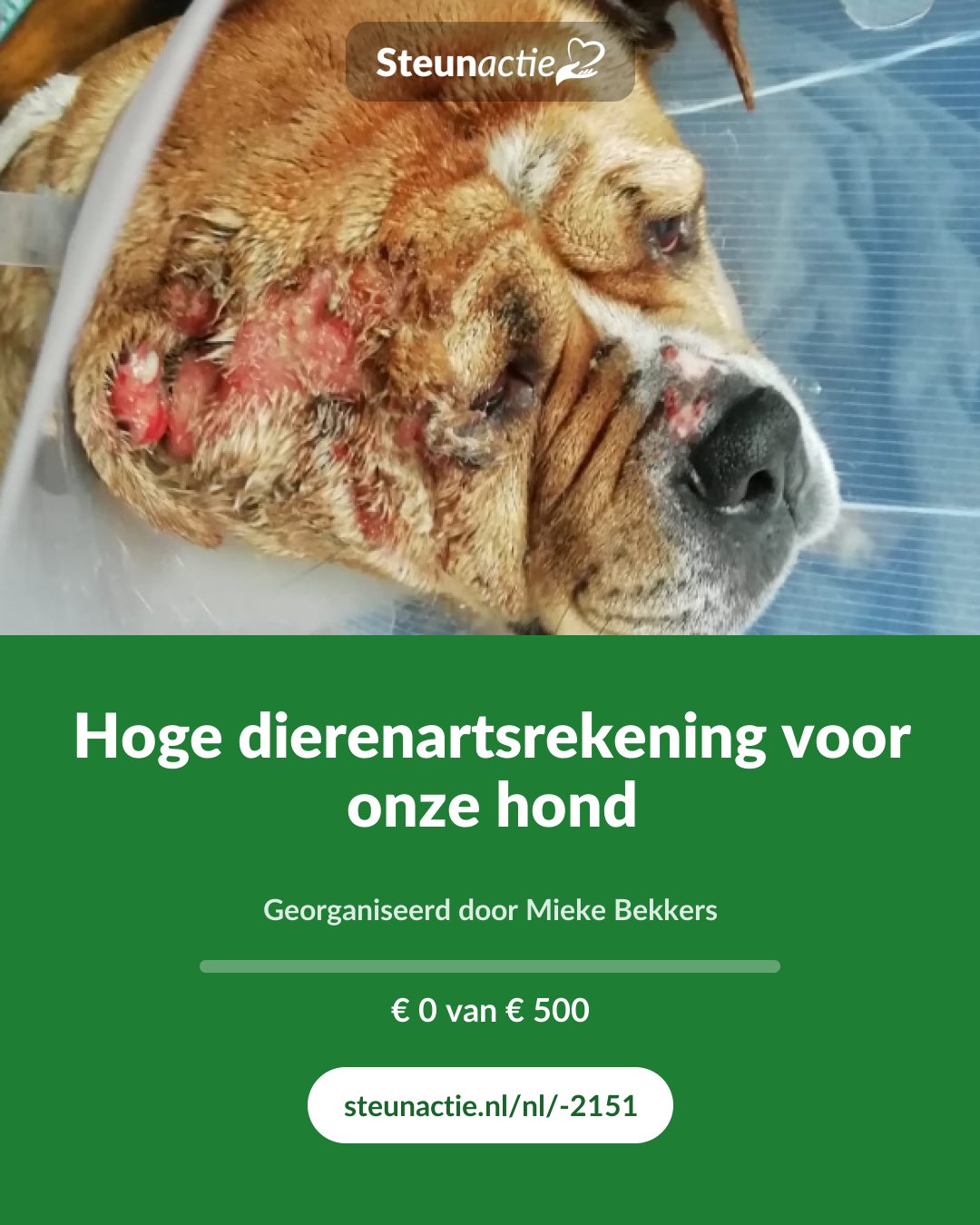 Voorbeeld van de afbeelding