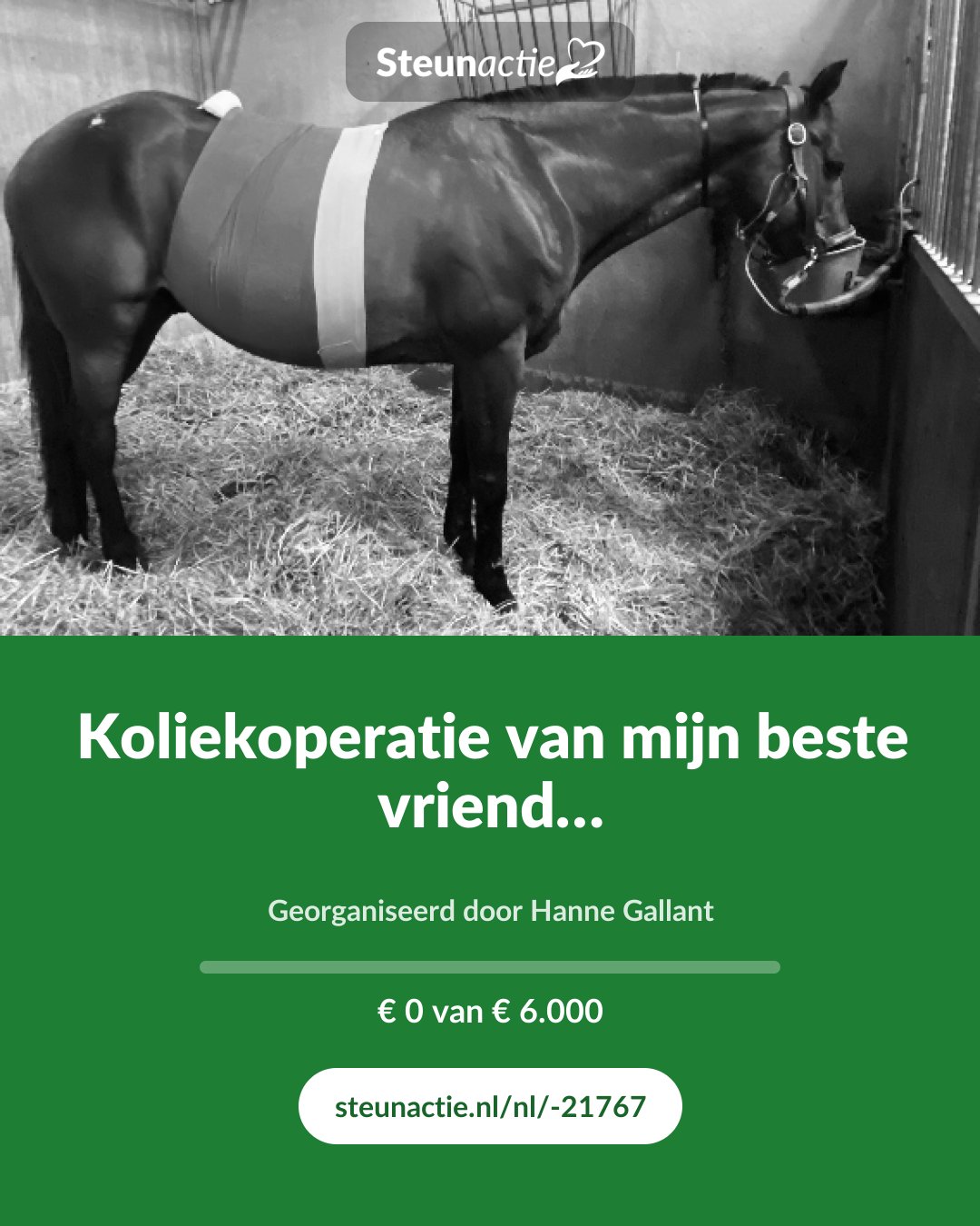 Voorbeeld van de afbeelding