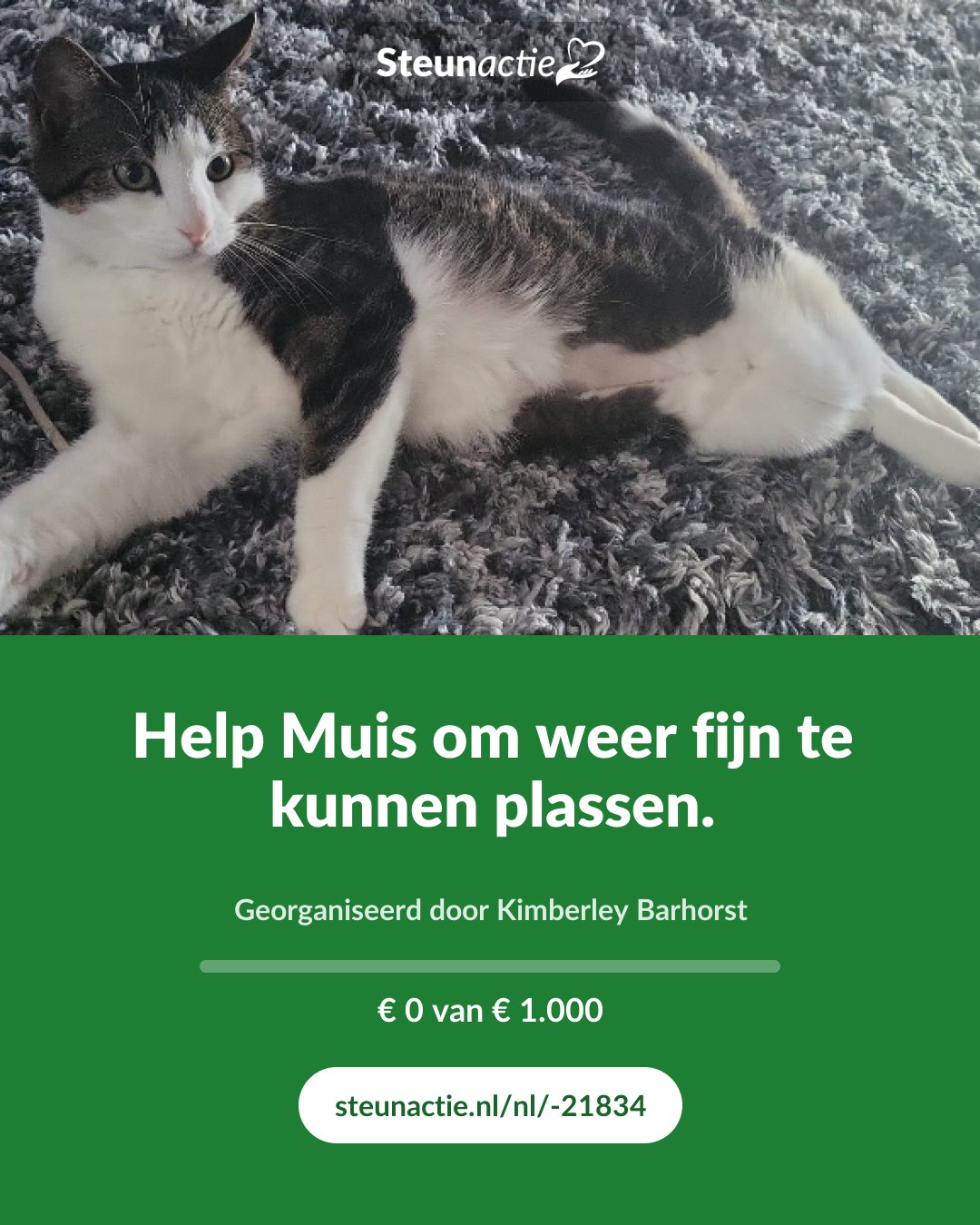 Voorbeeld van de afbeelding