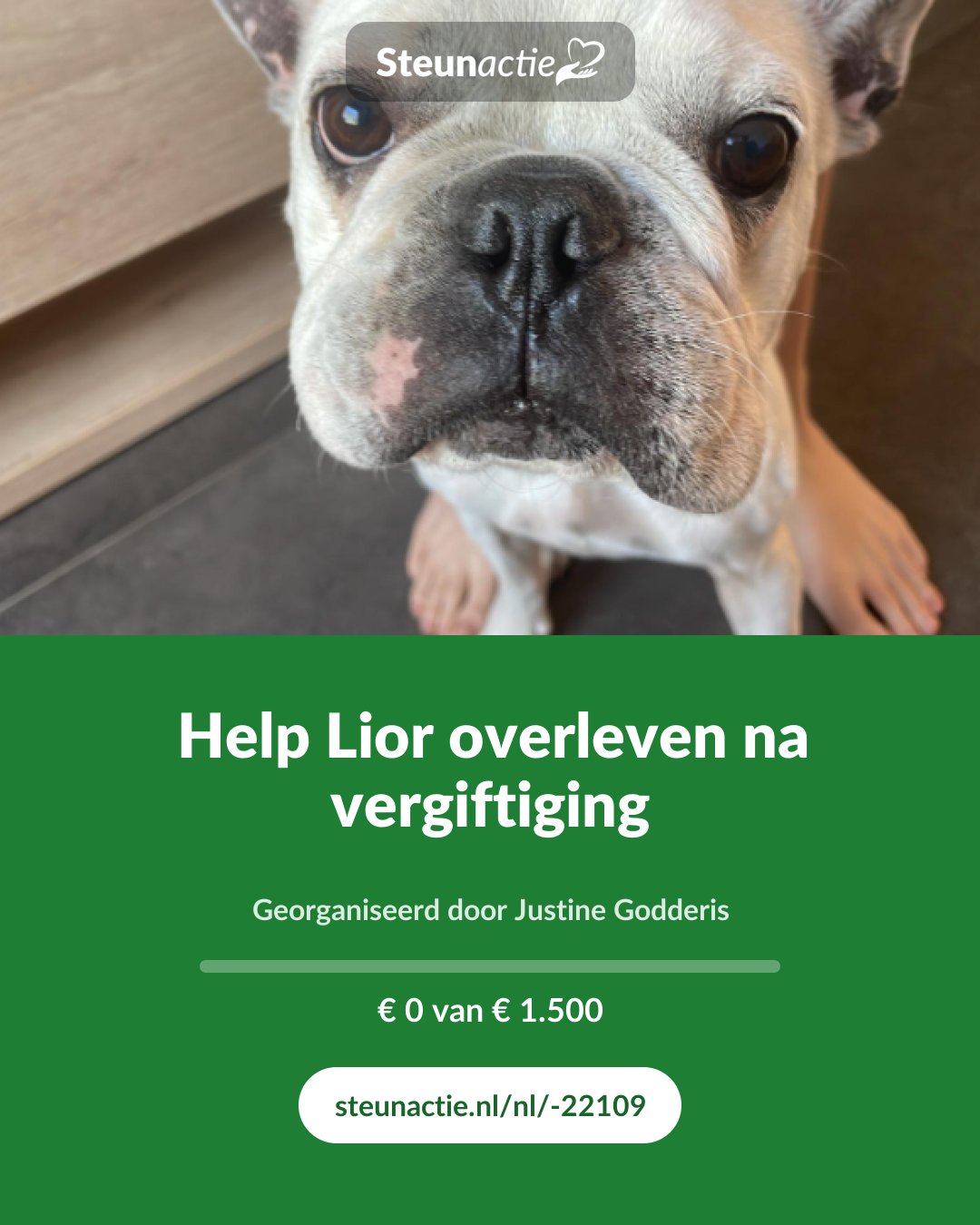Voorbeeld van de afbeelding