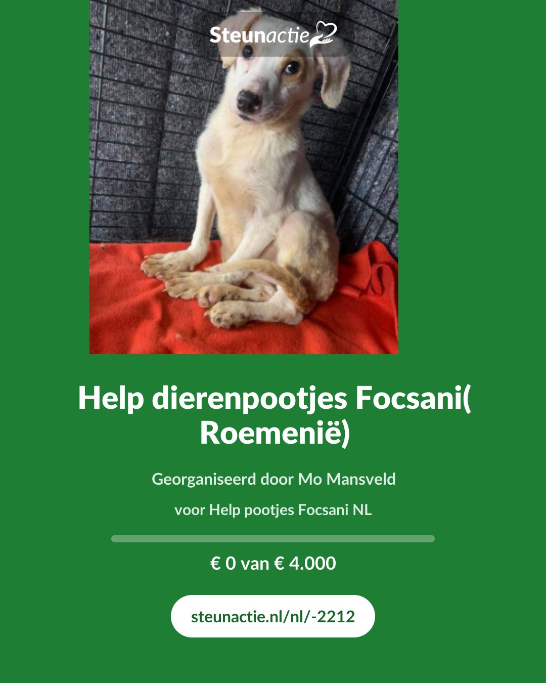 Voorbeeld van de afbeelding