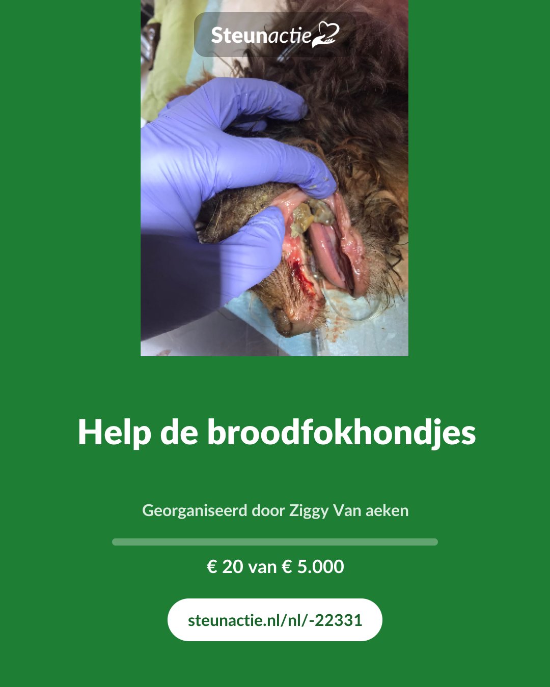 Voorbeeld van de afbeelding
