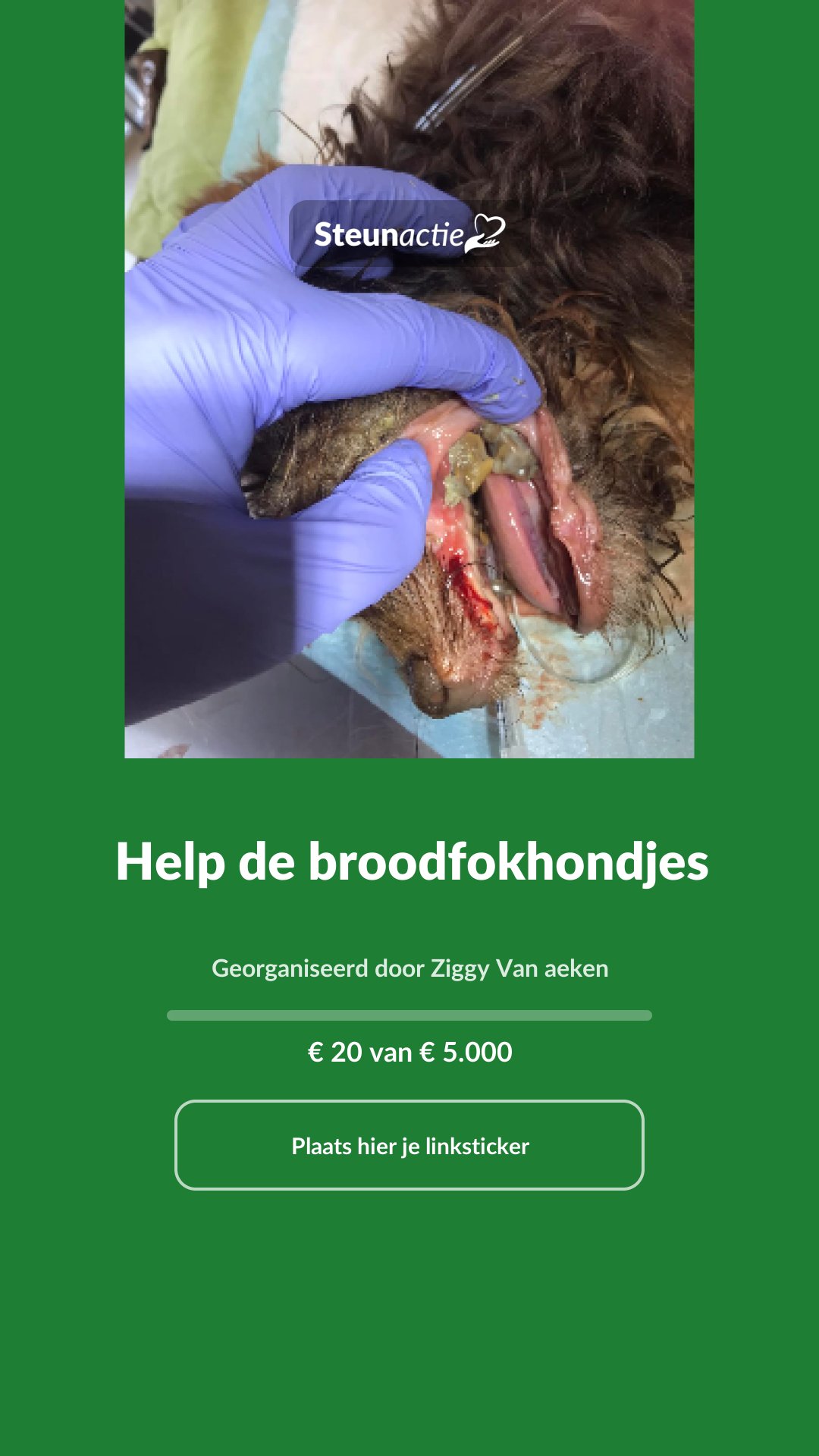 Voorbeeld van de afbeelding