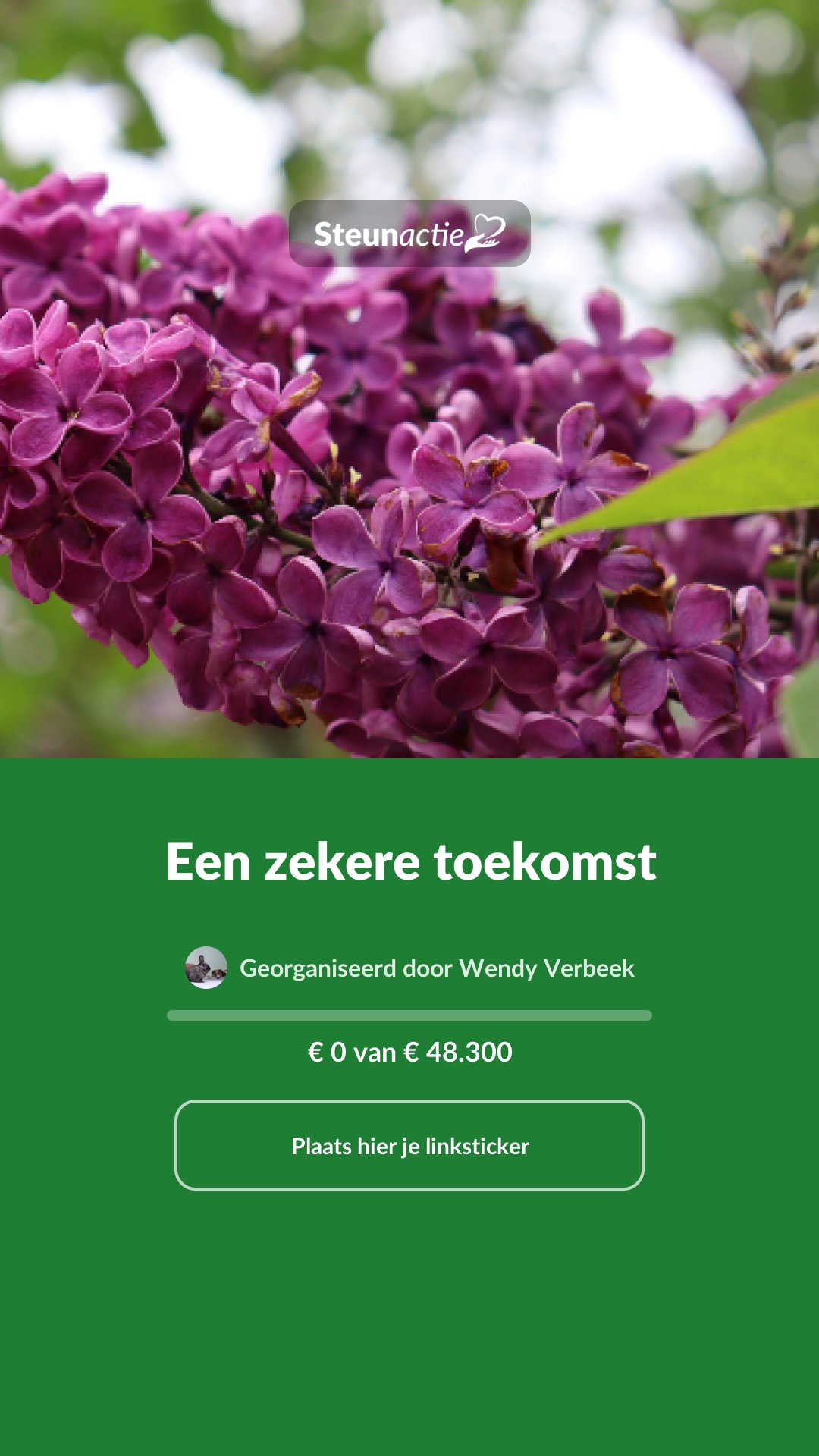 Voorbeeld van de afbeelding