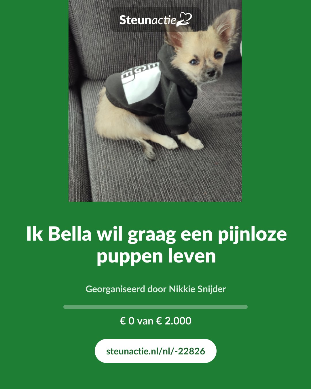Voorbeeld van de afbeelding
