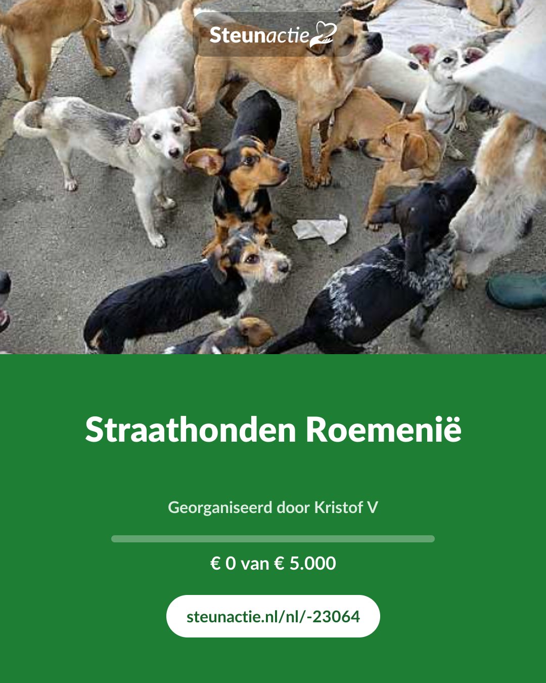 Voorbeeld van de afbeelding