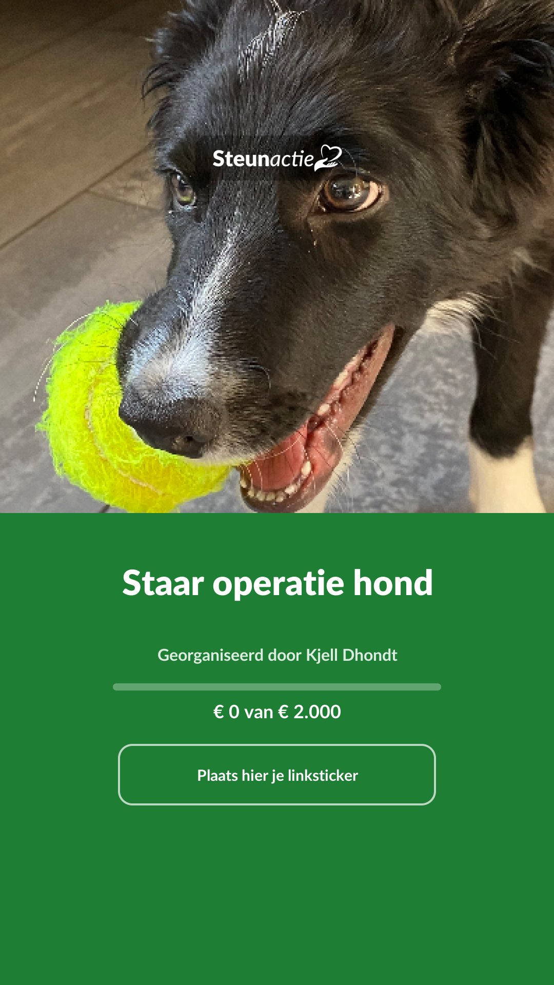 Voorbeeld van de afbeelding