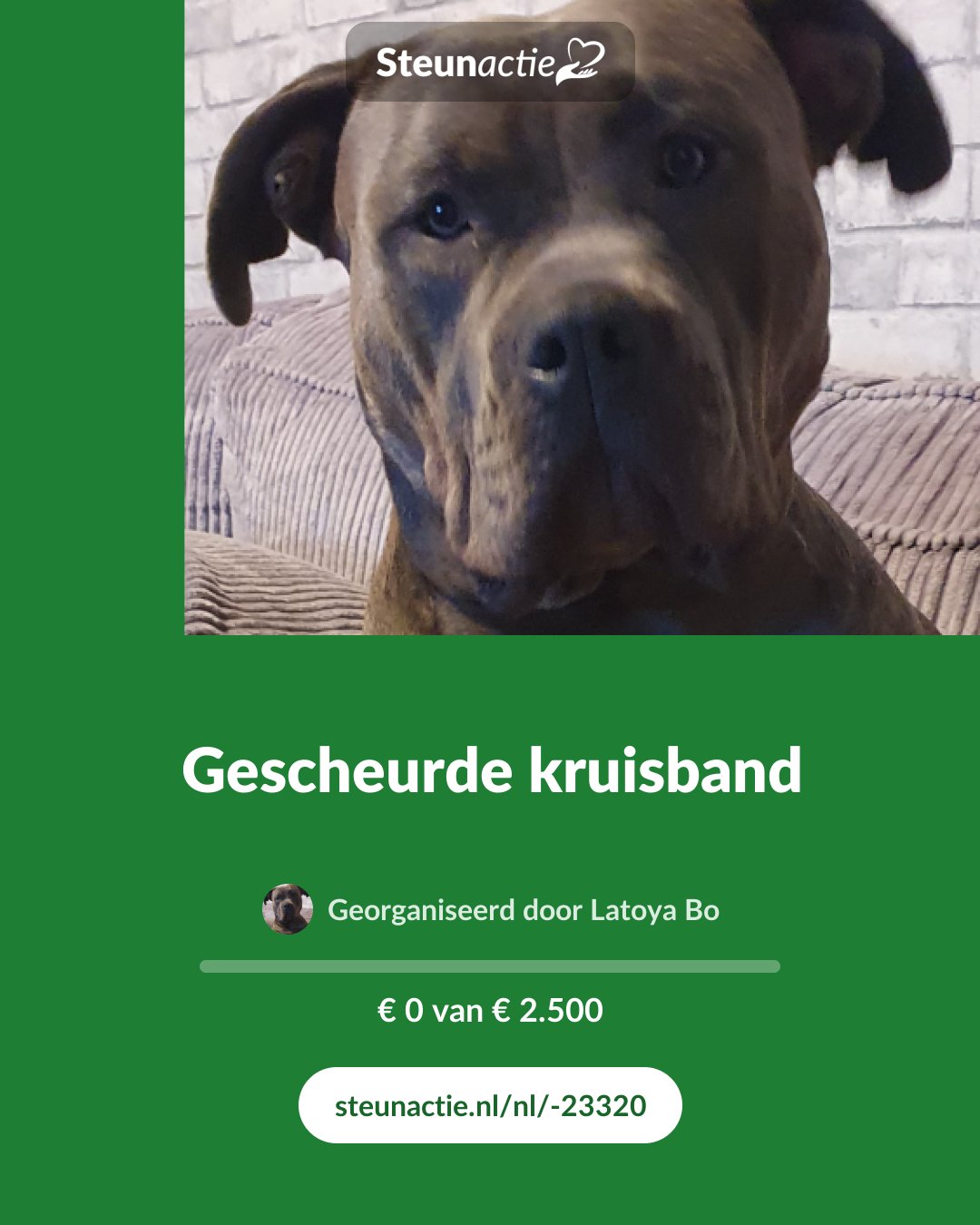 Voorbeeld van de afbeelding