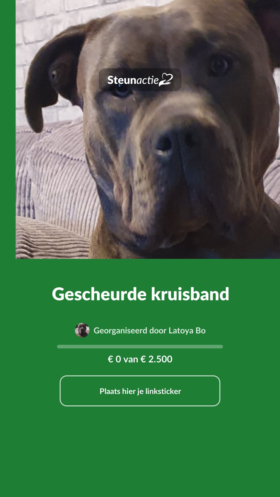 Voorbeeld van de afbeelding