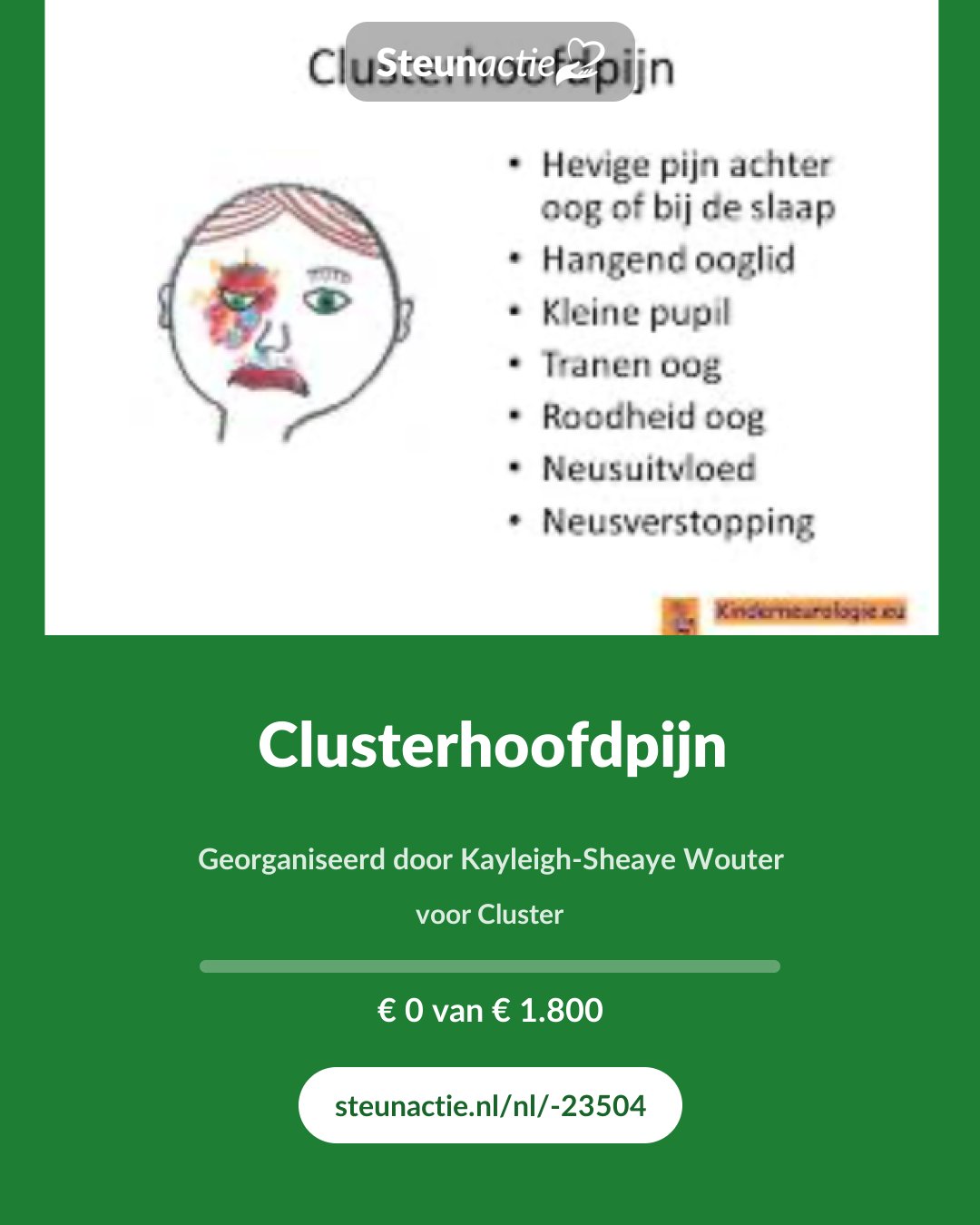 Voorbeeld van de afbeelding