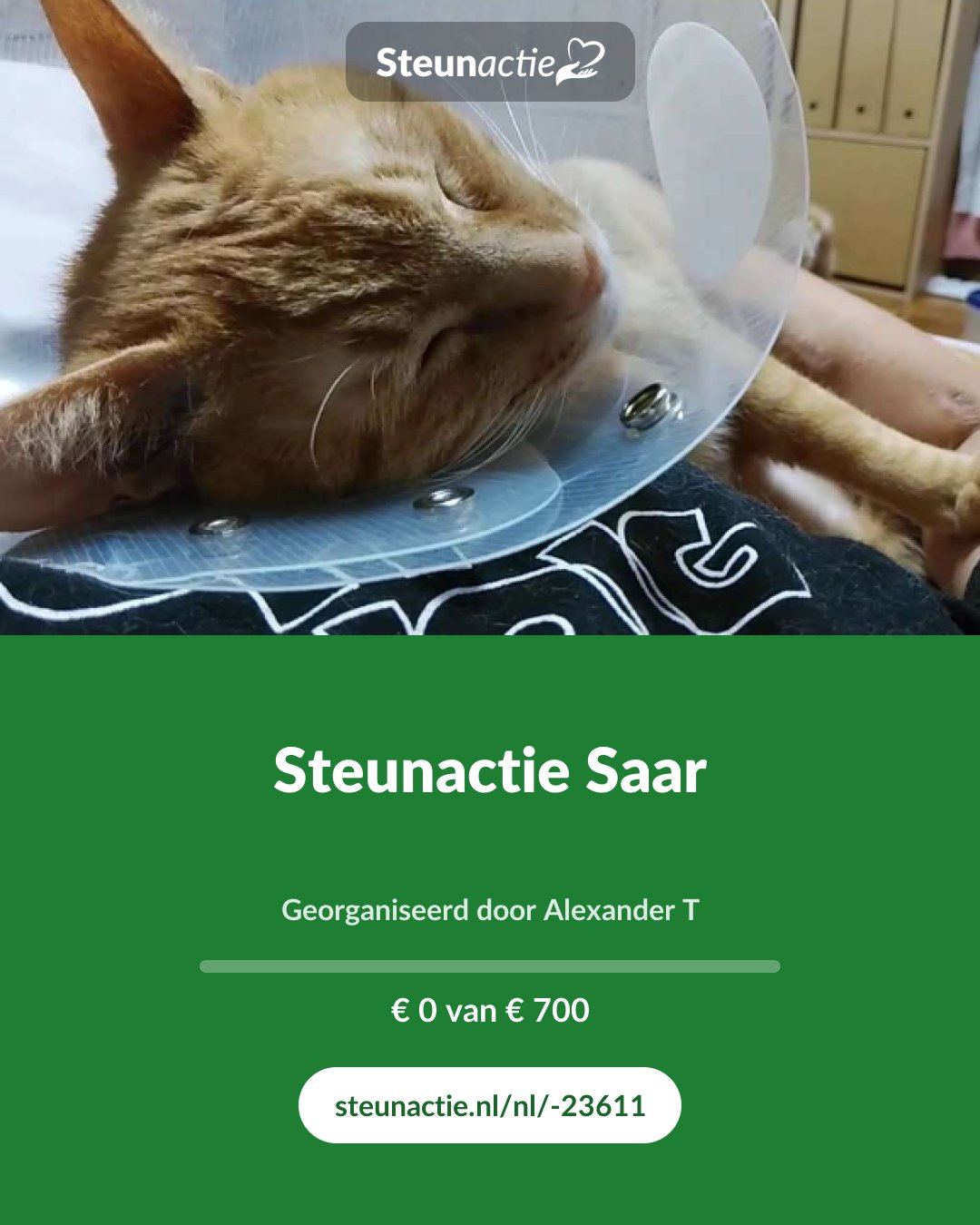 Voorbeeld van de afbeelding