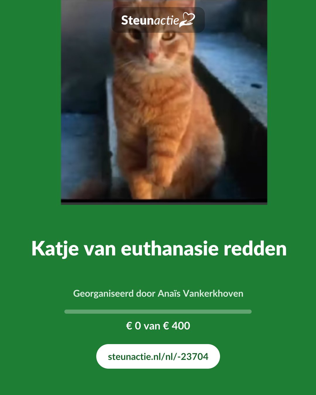 Voorbeeld van de afbeelding