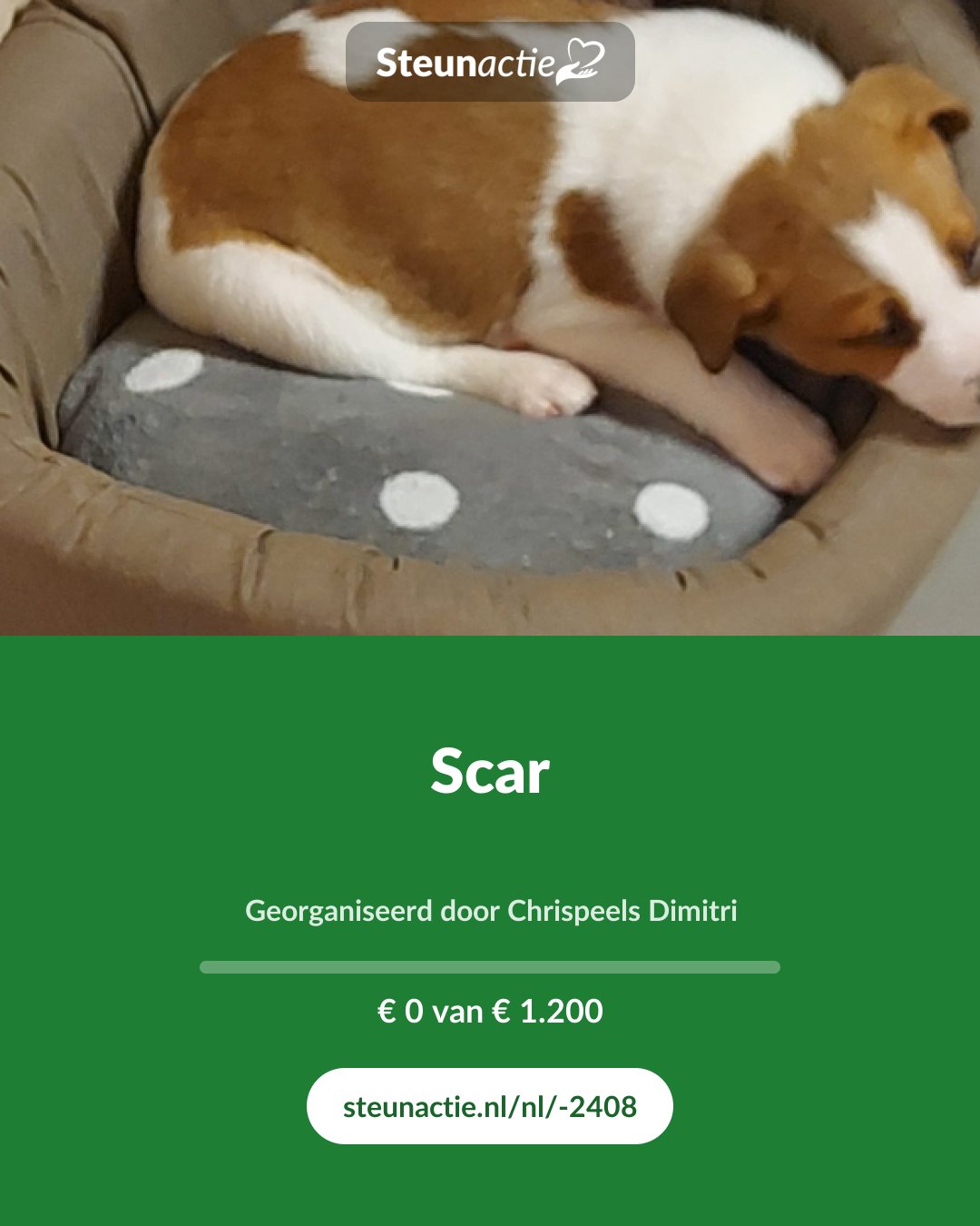 Voorbeeld van de afbeelding