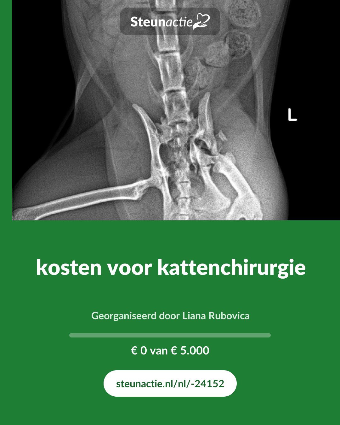 Voorbeeld van de afbeelding