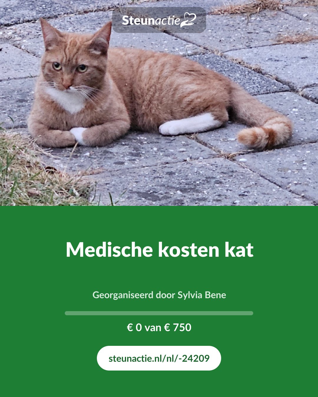 Voorbeeld van de afbeelding