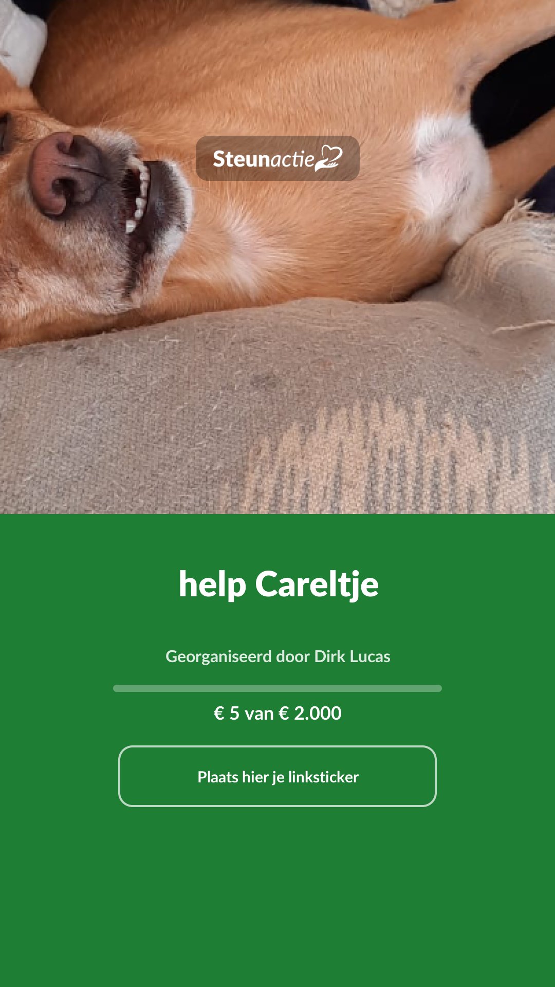 Voorbeeld van de afbeelding
