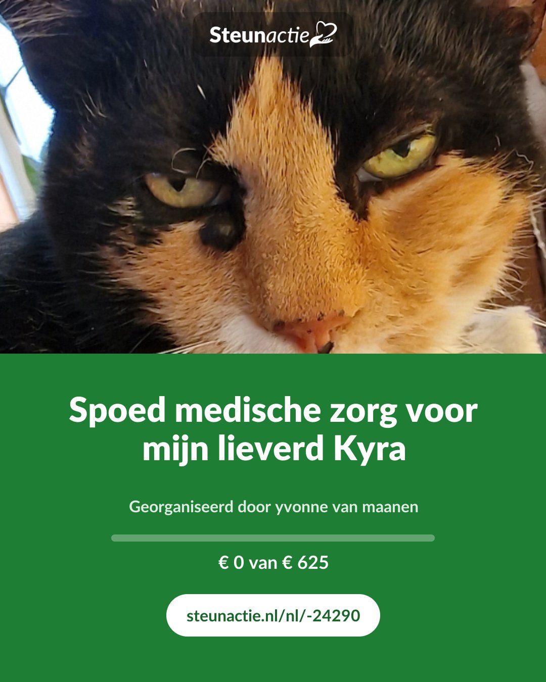 Voorbeeld van de afbeelding