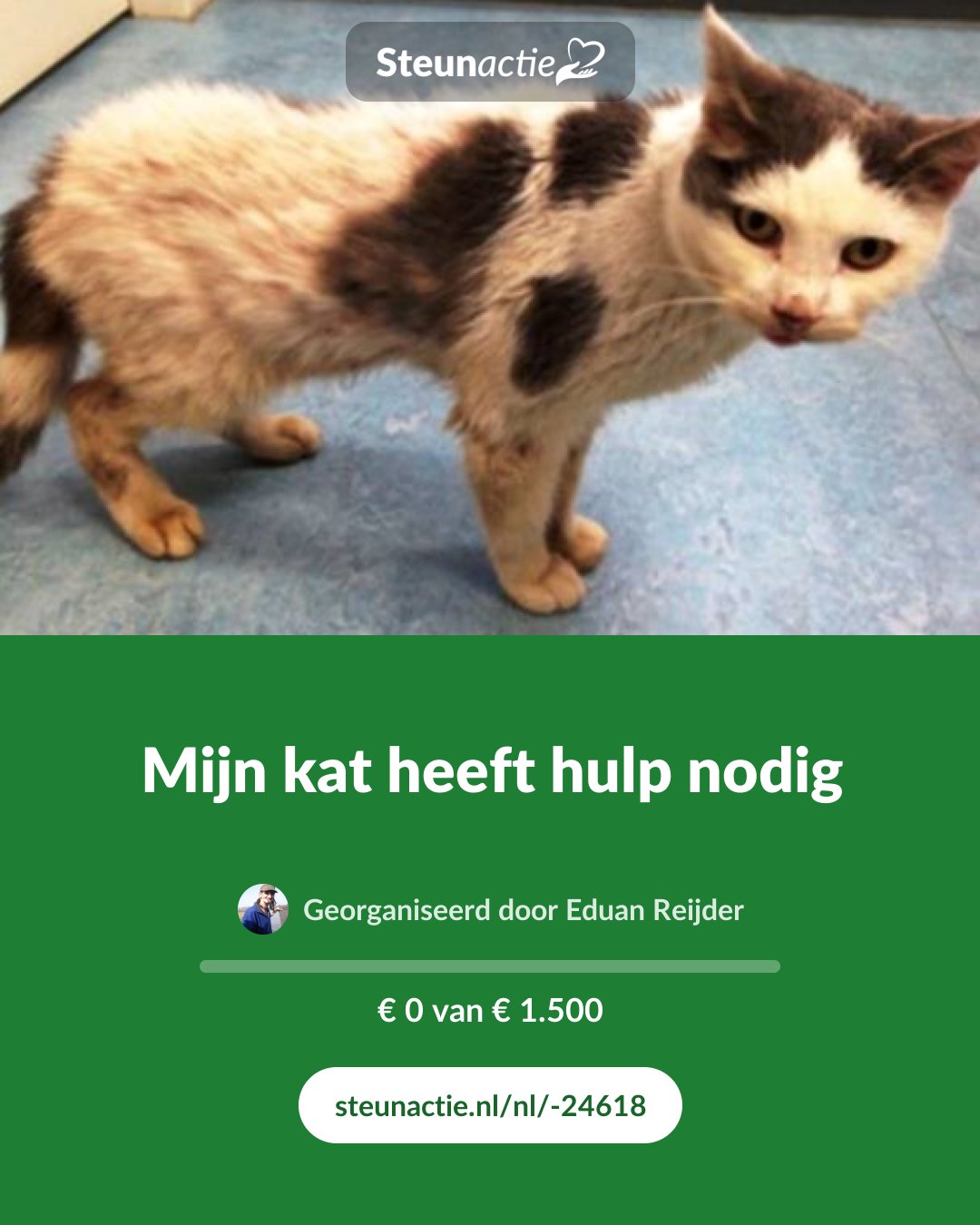 Voorbeeld van de afbeelding