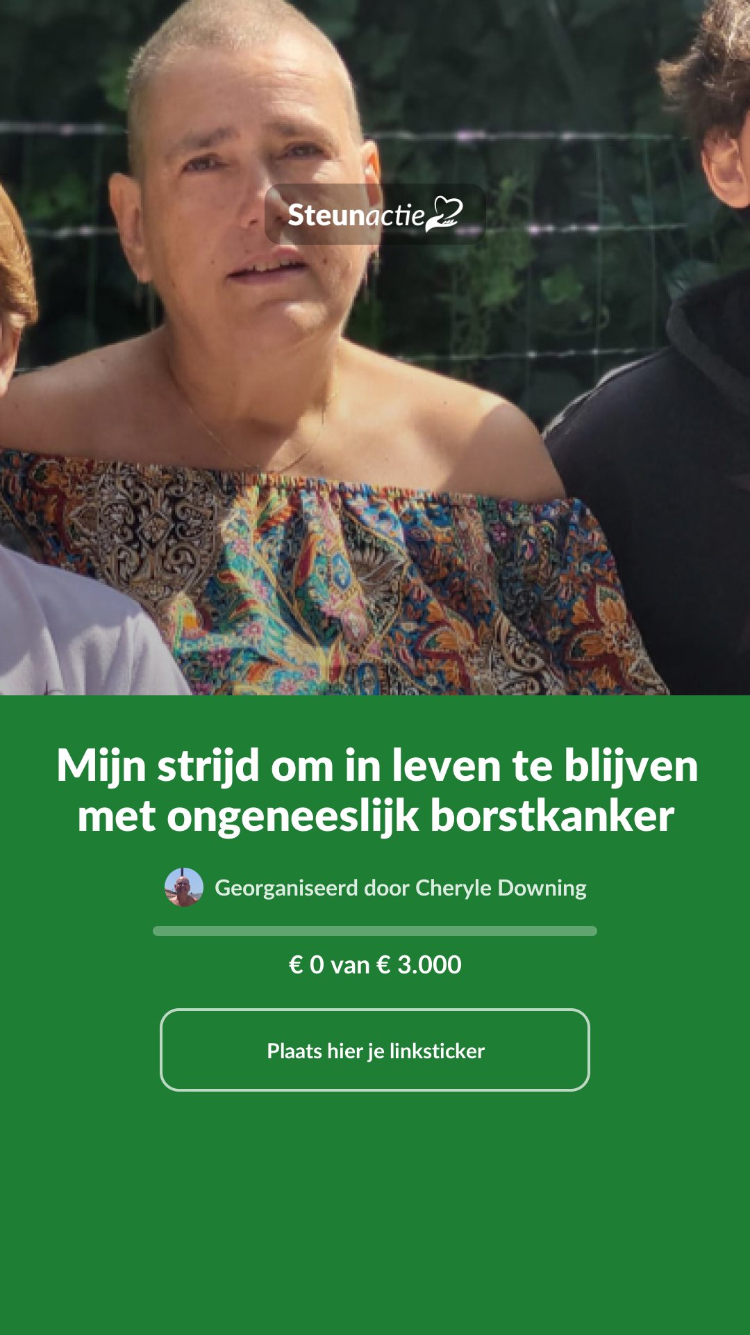 Voorbeeld van de afbeelding