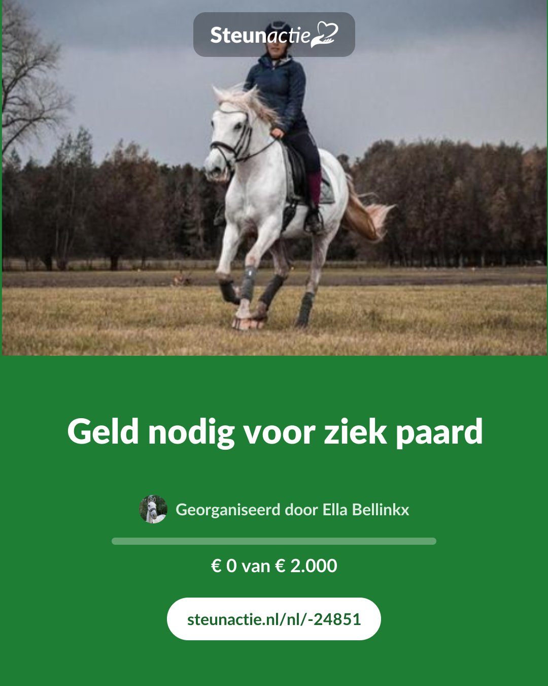 Voorbeeld van de afbeelding