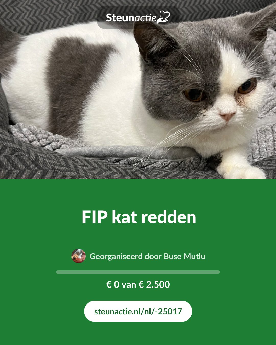Voorbeeld van de afbeelding