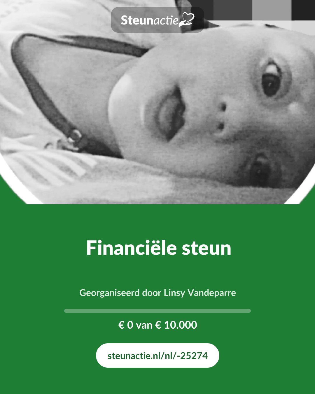 Voorbeeld van de afbeelding